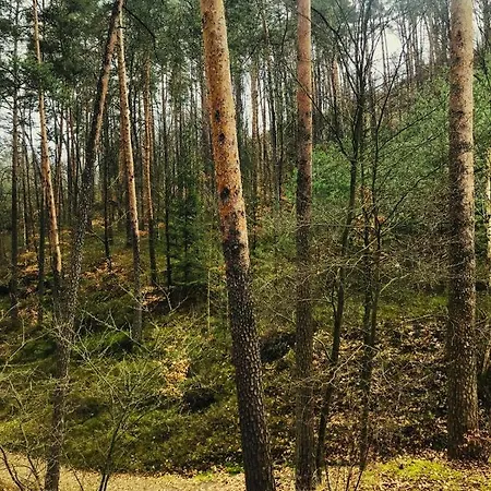 Pensión Novy Mlyn